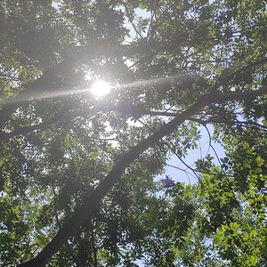 美好的事可不可以发生在我身上