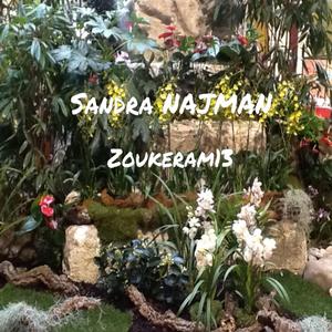 Zoukeram13_mastered2
