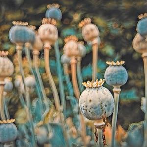 I released this as a single without ever listening to it