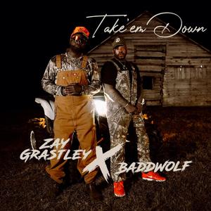 Take'em Down (feat. Badd Wolf)
