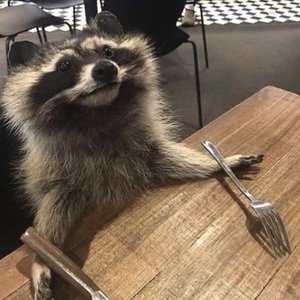 绝世舞姬