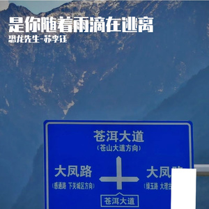 是你随着雨滴在逃离