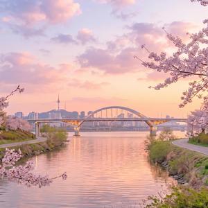The Kindest Flow of the Han River