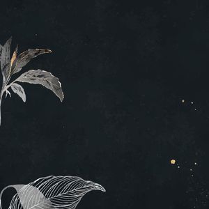 四手拳