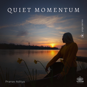 Quiet Momentum