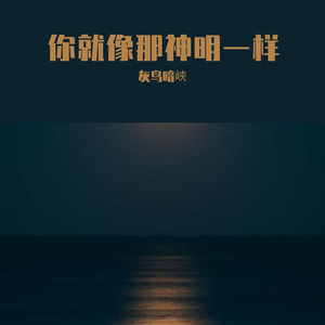 你就像那神明一样
