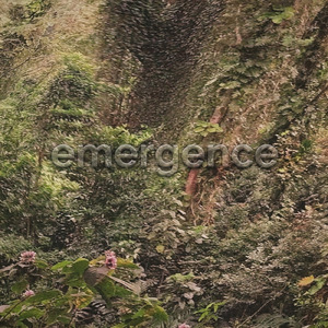 Emergence