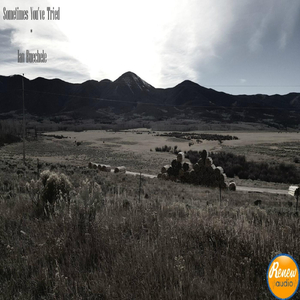 Sometimes You've Tried