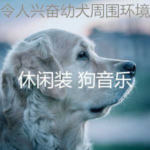 精彩训练犬环境