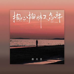 掏心掏肺又怎样 (DJBanan版)