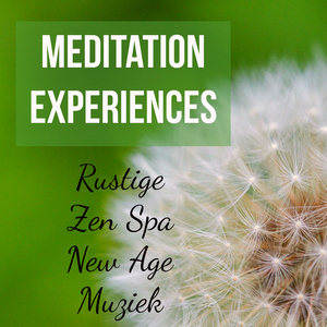 Zen Peace (Mandala Chakras & Ethereal Music)