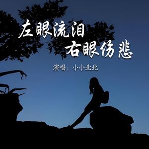 左眼流泪右眼伤悲