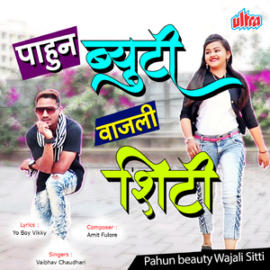 Vajli Hyachya Dilachi ******