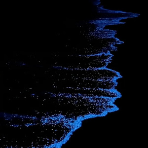 阿拉斯加海湾