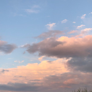 I Wanna Be Your Only One