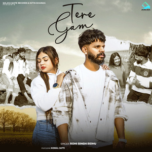 Tere Gam