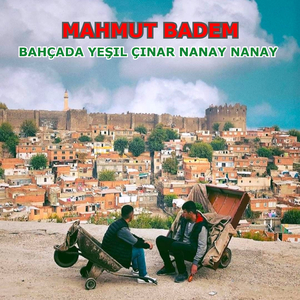 Bahçada Yeşil Çınar Nanay Nanay