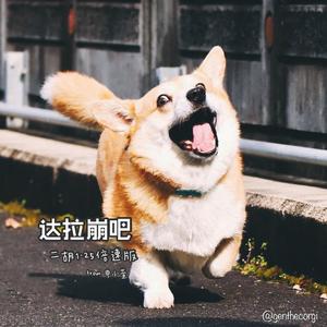 《达拉崩吧》（二胡1.25倍速版-带人声）