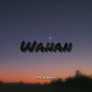 蛙腩-Wanan（Spx_Q / 蛙腩 remix）