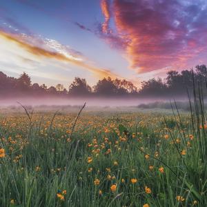 冰蓝色的Marlboro