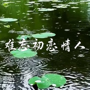 难忘初恋情人
