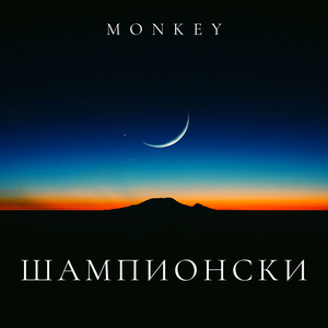 Шампионски