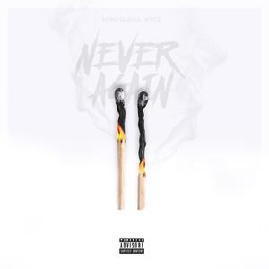 M.I.A.R.D. ( Mirage In A Red Dress)