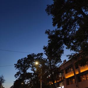 我梦见你梦见我