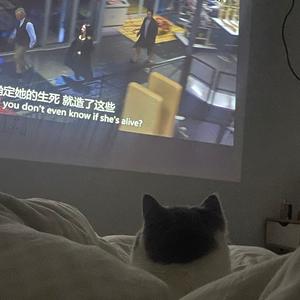 猪猪之歌（prod.by 百川）