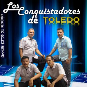 Te equivocaste