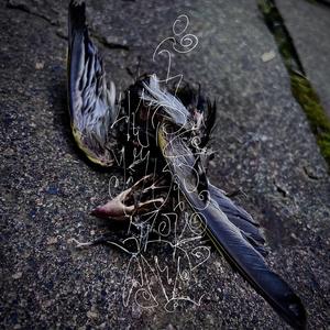 I Hope You`re The One