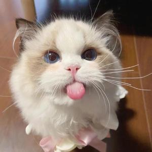 宝贝（in a day）