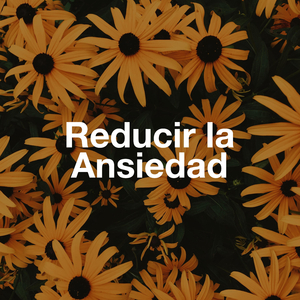 Reationality E Imaginación