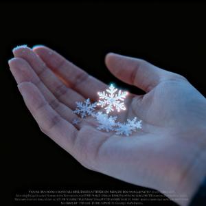 掌心雪（Prod.Siren&EVO MUSIC）