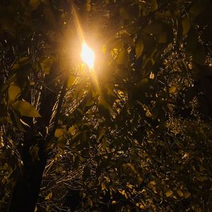 我们终于陌生了