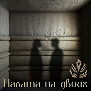 Палата на двоих