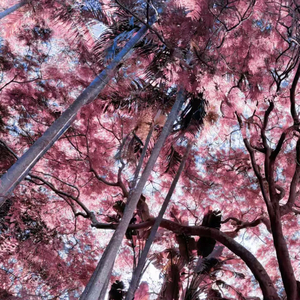 吻痕/Kiss Marks (Prod by Scorpion)