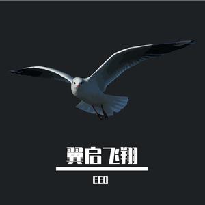 我的疯狂（翼启飞翔）