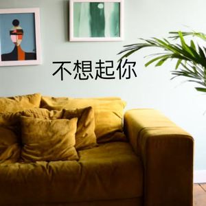 不想起你