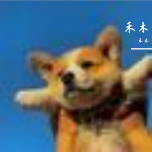 心跳在节奏中跃动