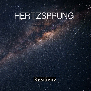 Resilienz