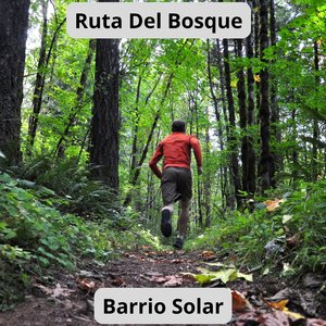 Ruta del Bosque