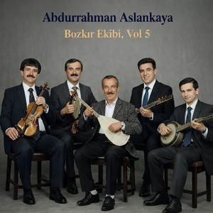 Olur Hey / Süleğin Çimeni