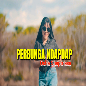 Perbunga Ndapdap