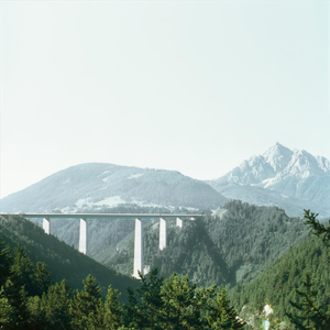 No Birds Fly This Hightower