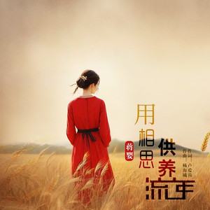 用相思供养流年 (DJ翊轩版伴奏)