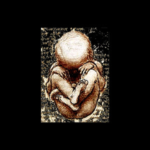 赤黒いソウルジェム (feat. 自我)