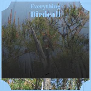 Flavorless Achromatic