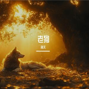 自由是只脏兮兮的野狗