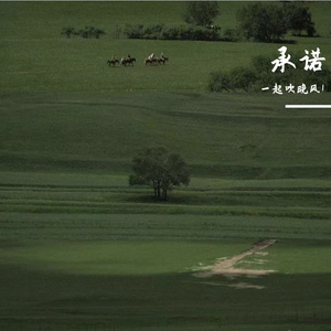承诺